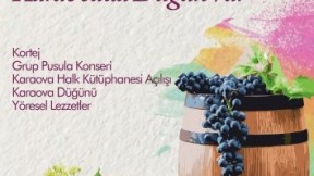 Karaova Bağbozumu Şenliği