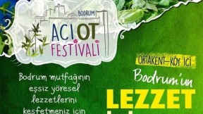 Bodrum Acı ot Festivali