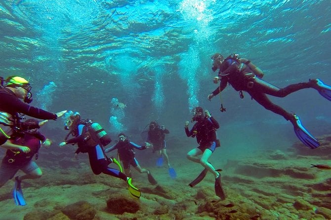 Bodrum Dalış (Scuba Dviving) Tur